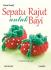 Sepatu Rajut untuk Bayi